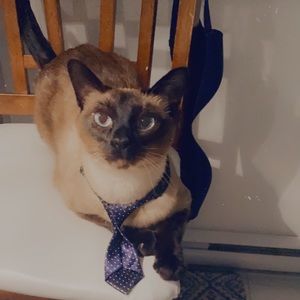 Meet your Posher, Maxime-elizabeth